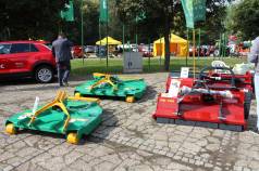 Mini IMG 0034